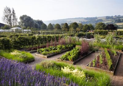 Blagdon