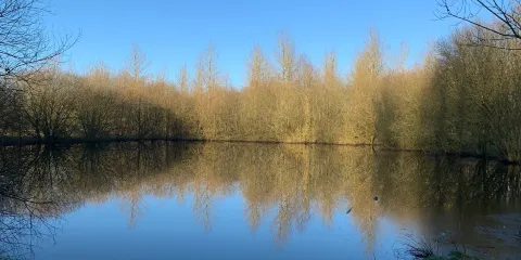 Sence Valley Country Park