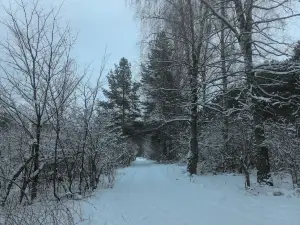 Ski base Strigino