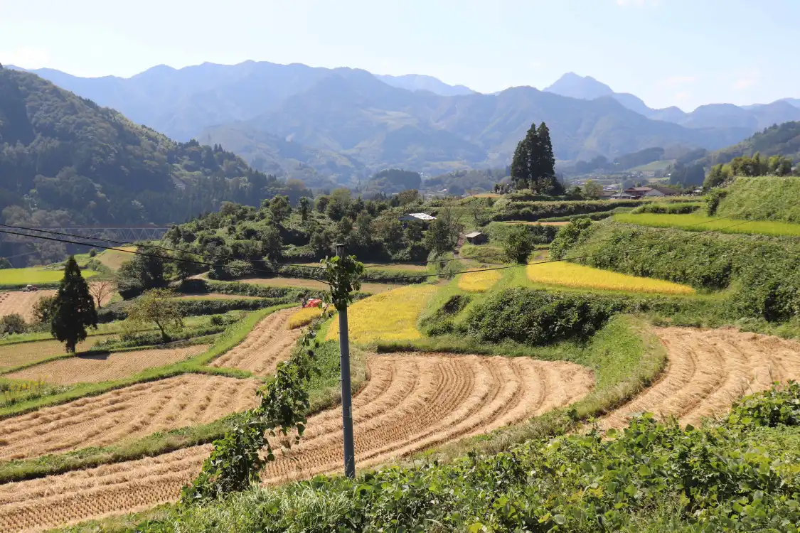 Hotels near Tochimata Tanada Rice Terrace