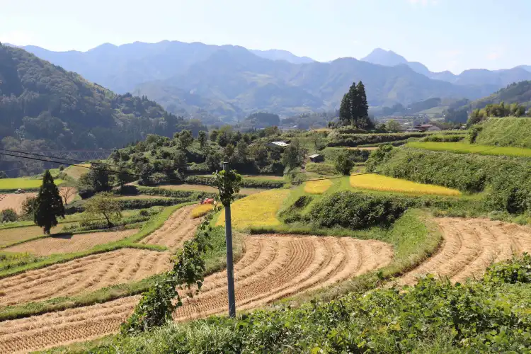 Hotels near Tochimata Tanada Rice Terrace