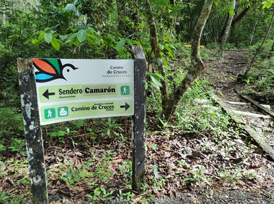 Parque Nacional Camino de Cruces