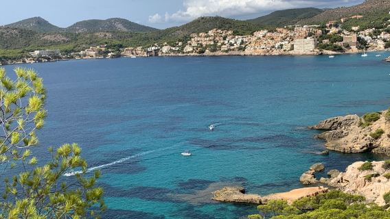 Platja Palmira
