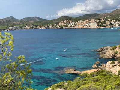 Platja Palmira