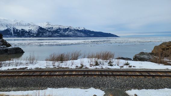Beluga Point