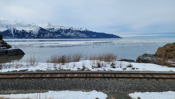 Beluga Point
