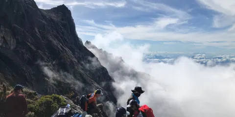 Mount Kinabalu Botanical Garden