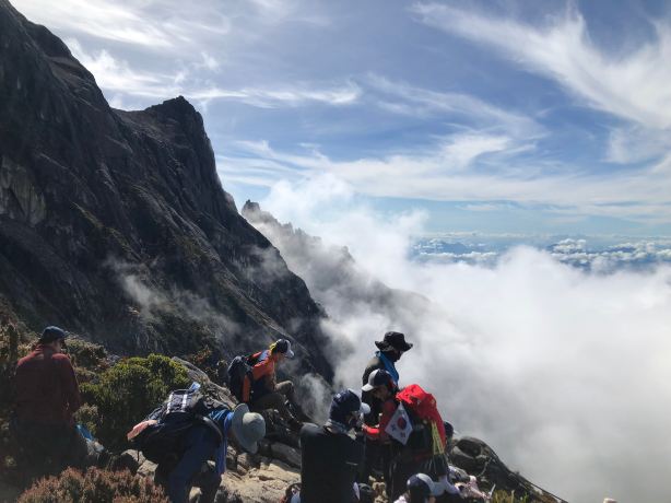Mount Kinabalu Botanical Garden