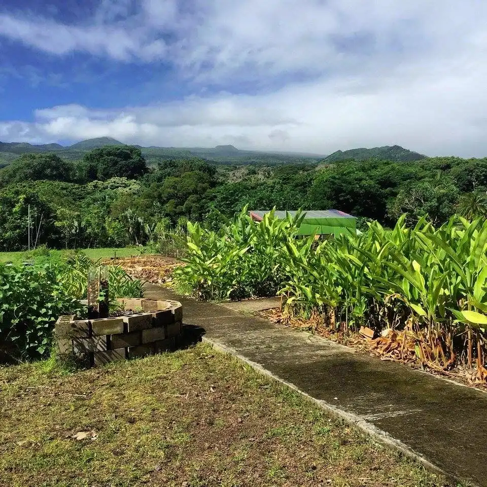 Hotels near Hana Tropicals