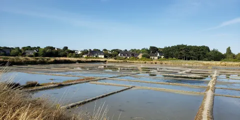 Marais Salants de Kervillen
