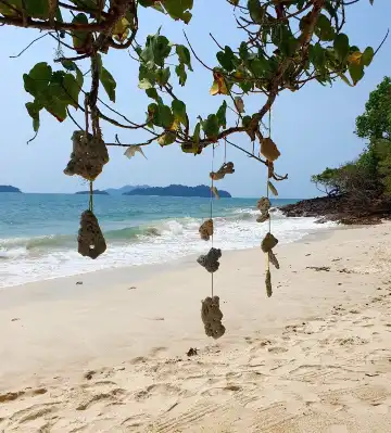 ロング・ビーチ周辺のホテル