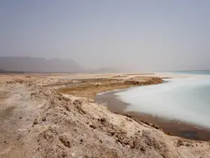 Dolphin Excursions Djibouti