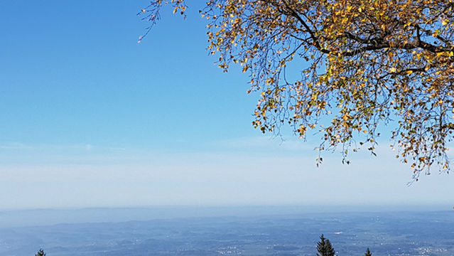 Theresienkapelle am Pfaender