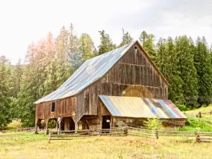 Farmstrong Cider Company
