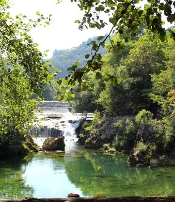 Brekovica