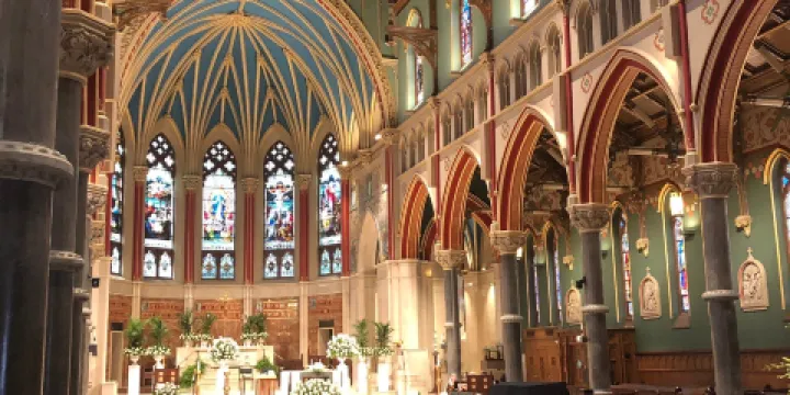 The Cathedral of the Immaculate Conception