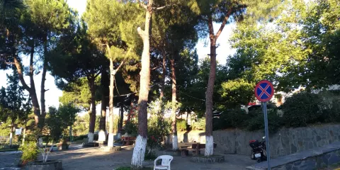 Altinoluk Merkez Parki