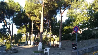 Altinoluk Belediyesi