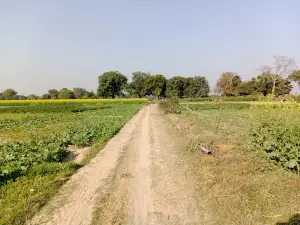 Om Vatika Kanaili