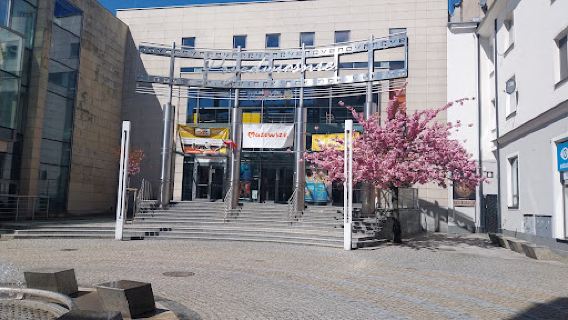 PRZEDWIOŚNIE