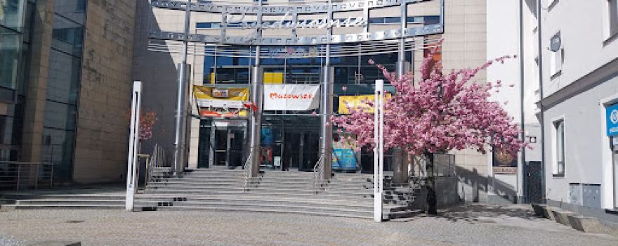 PRZEDWIOŚNIE