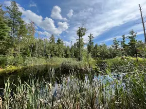 Greves Regional Park