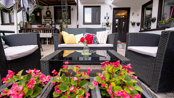 CAMPING STARITE BOROVE