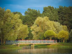 Белицкий парк