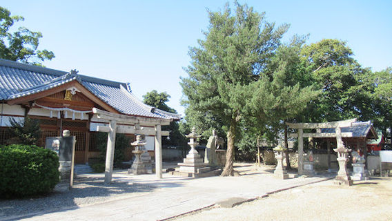 Tajiri