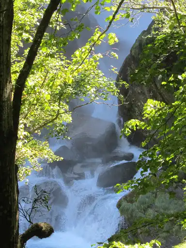 Bavona