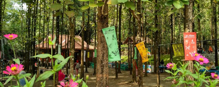 Alian Butterfly Park