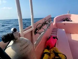 Ocean Wonder Dive Center