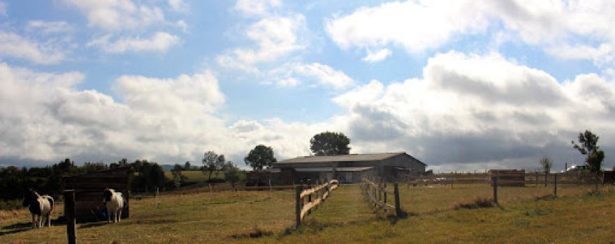 Ferme de la Seconde Chance