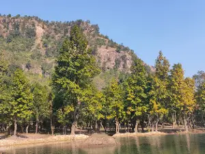 Vivah Mada, Suliyari