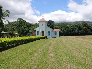 Guayabo