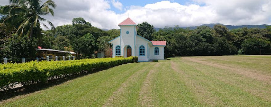 Guayabo