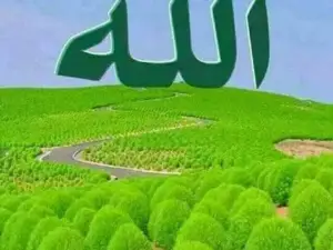 Danakli Tour and travel