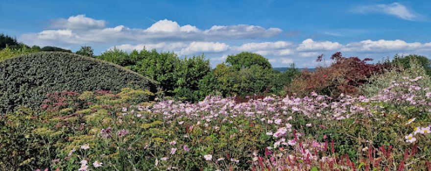 Veddw House Garden