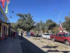 Parque Municipal de Putaendo