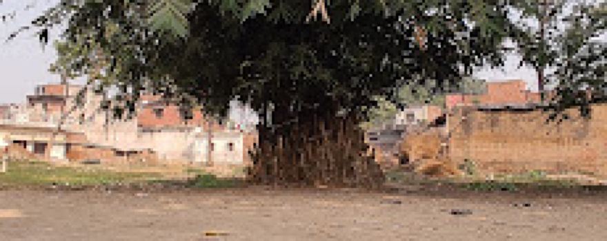 NISHAD GARDEN