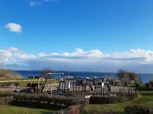 Løgismosestrand Camping