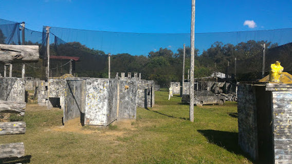 Arena Paintball Wood