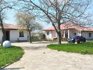 Sveshtolivnitsata