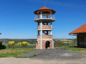 Újhegyi Kilátó Pusztaszentlászló