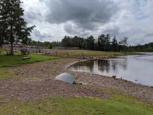 Jiggs' Fun Farm