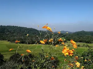 RICEFIELD VIEWPOINT, BLISA