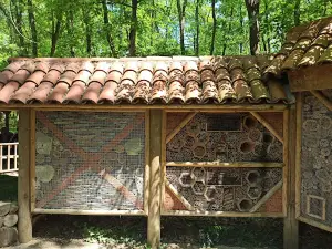 Ormanya Hobbit Evleri
