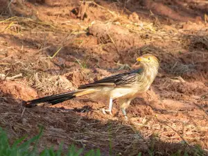 Praça de Lazer Canaã