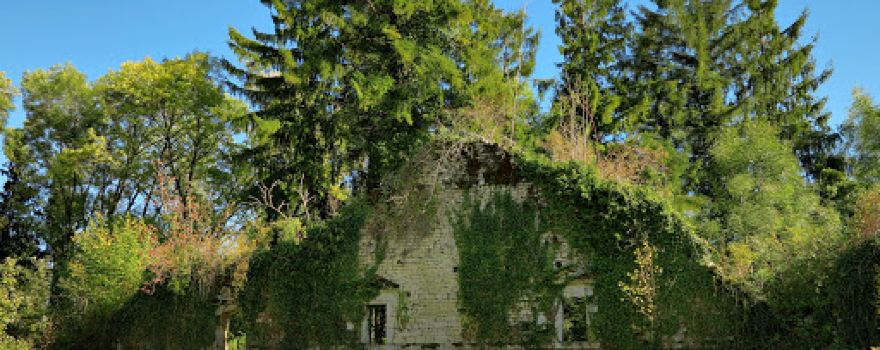 Ruines de l'ancien château de Montrond