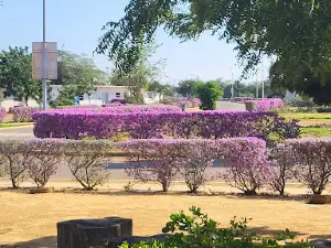 Campo Médico Park